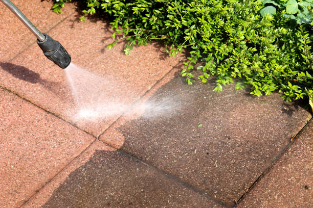 Best Roof Pressure Washing  in Oakland, CA